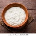 Plain Dahi