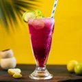 BLUEBERRY MOJITO