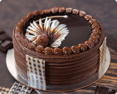  Dutch Truffle Cake Small + Popper 40 inch + Sparkle candle 
